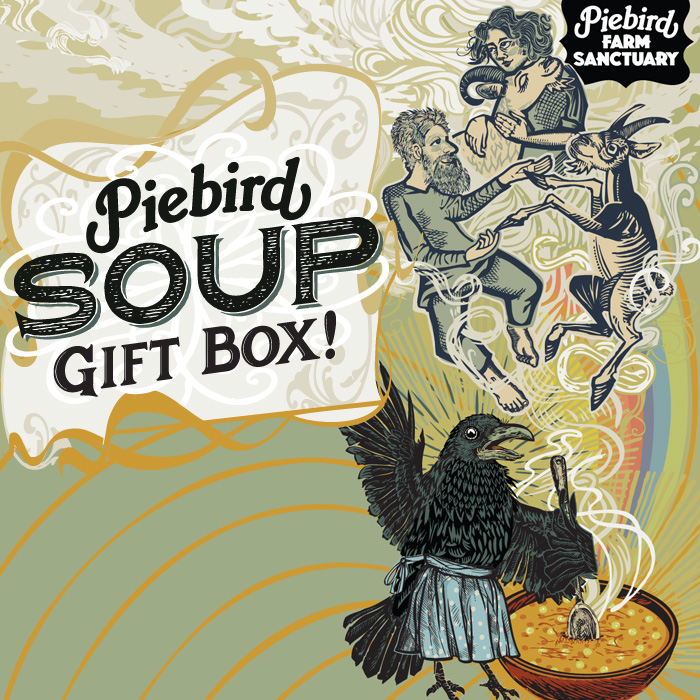 vegan soup gift box